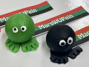 Aalsmeerse marsWUPein