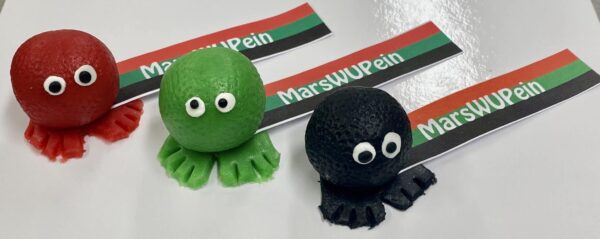 Aalsmeerse marsWUPein