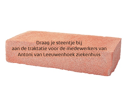 Steentje voor het AVL