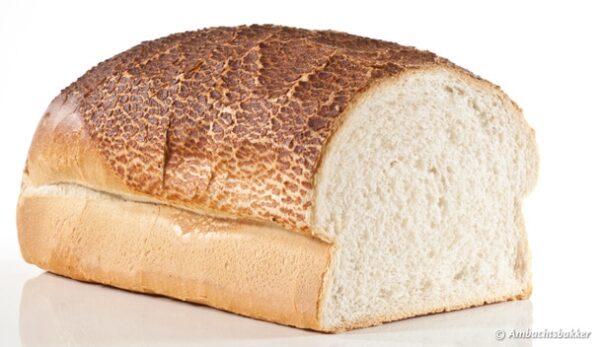 Tijger wit heel